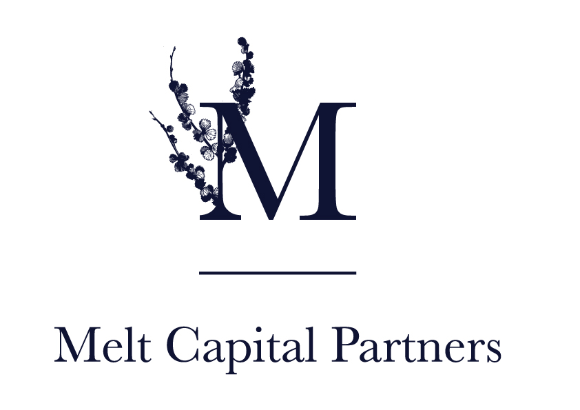 Logotipo-Melt-monoermo